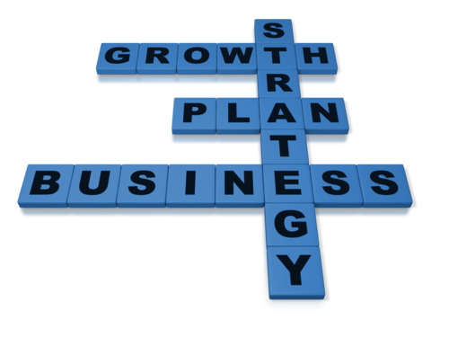 Writing the Buyer's Business Plan